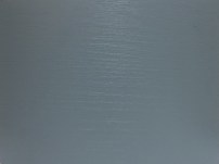 Тополь скай cc 0571